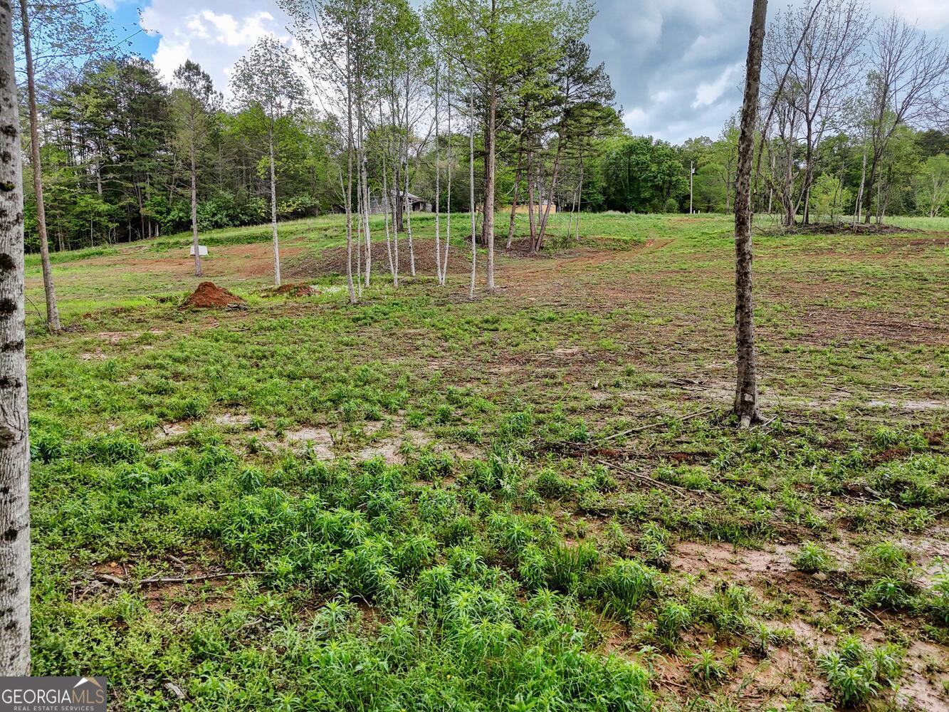 Ii Ii Shuler Road Blairsville, GA 30512 - Photo 8 of 19 a view of a park with a tree