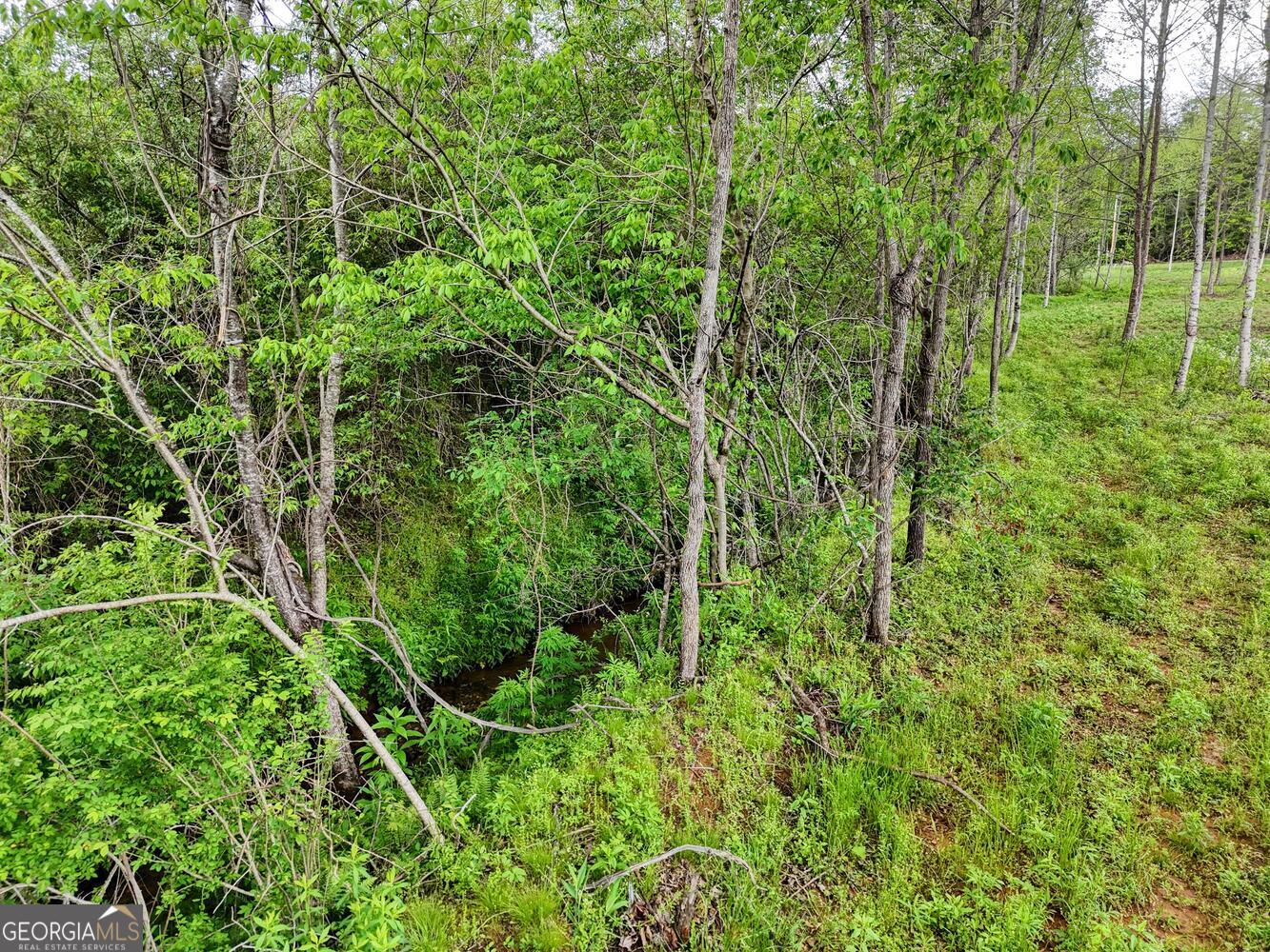 Ii Ii Shuler Road Blairsville, GA 30512 - Photo 9 of 19 a view of a lush green forest