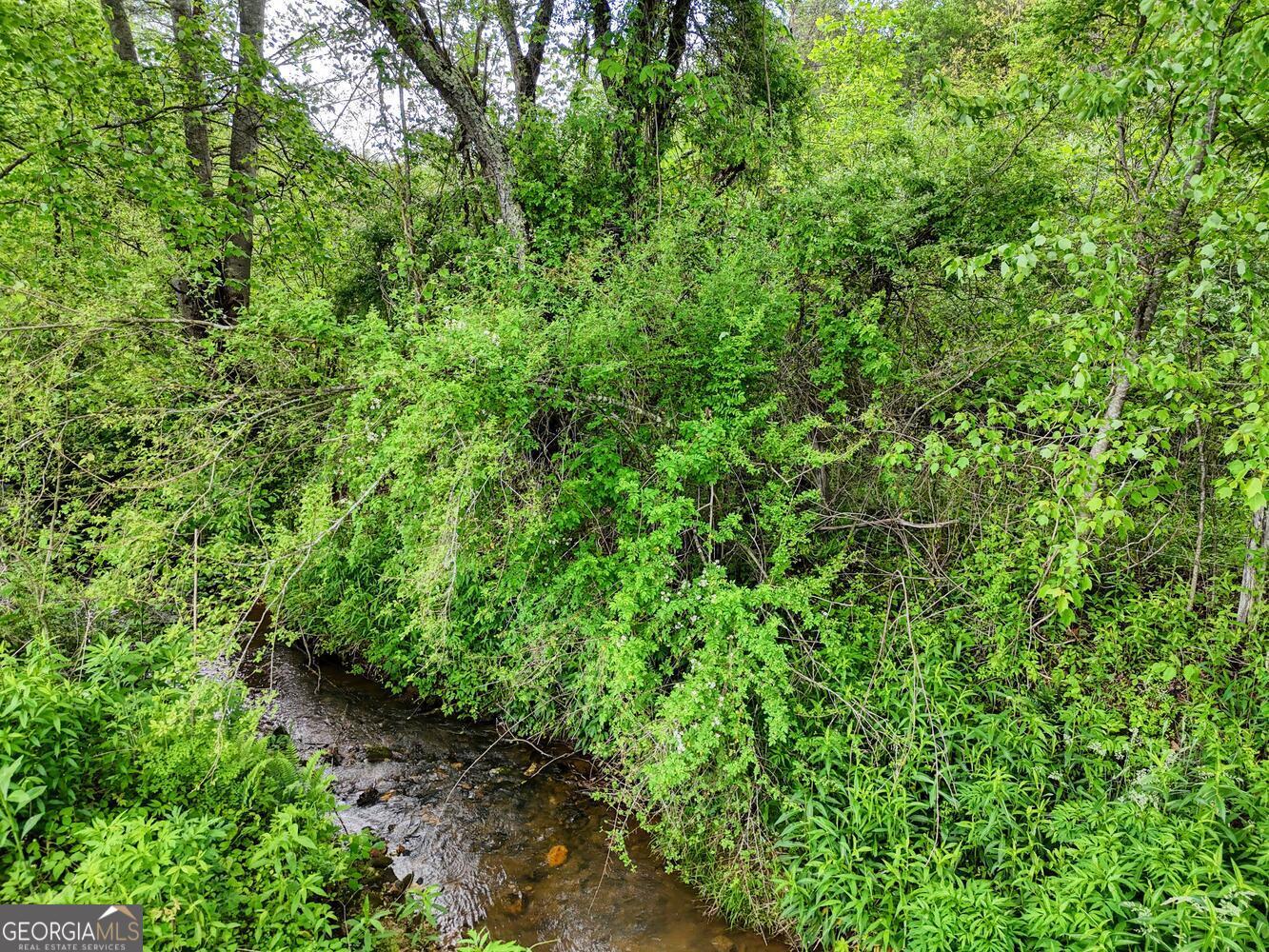 Ii Ii Shuler Road Blairsville, GA 30512 - Photo 10 of 19 a view of a lush green forest with lots of trees
