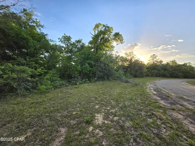 $24,995 | Tbd Giles Circle, Chipley, FL 32428