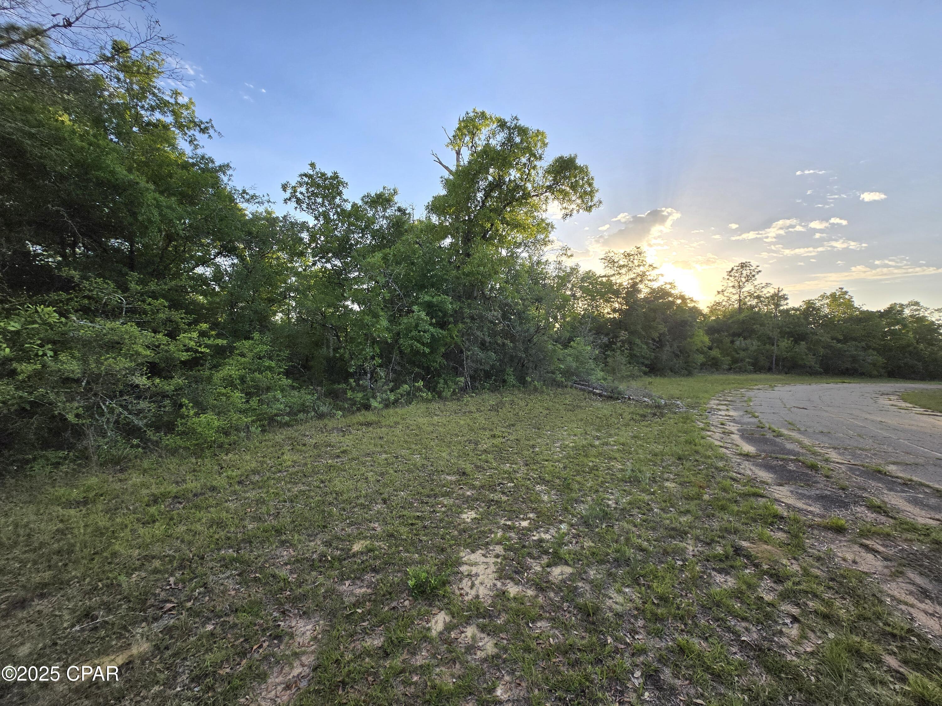 Tbd Giles Circle Chipley, FL 32428 - Photo 6 of 10