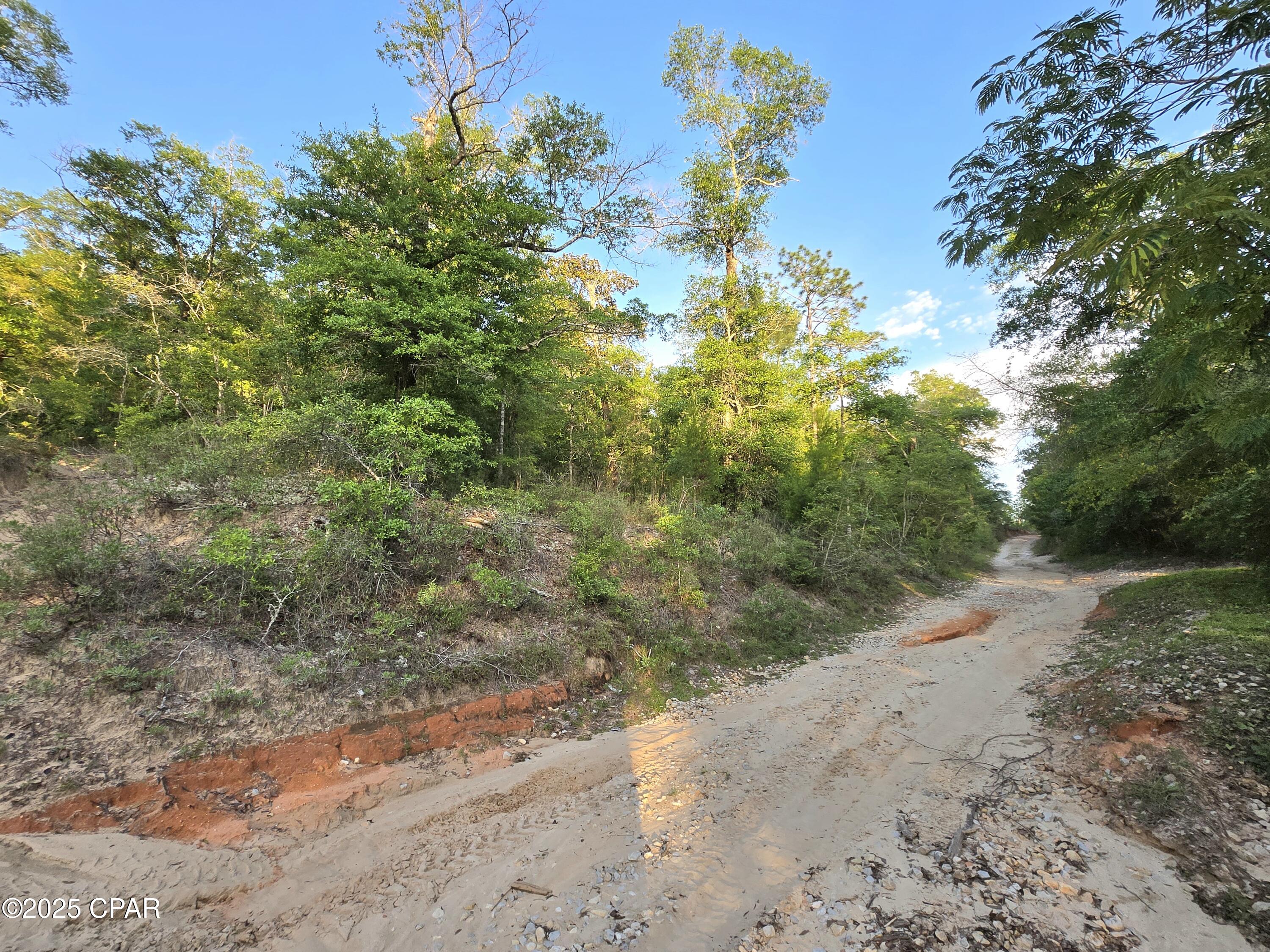 Tbd Giles Circle Chipley, FL 32428 - Photo 8 of 10