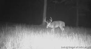 $300,000 | In-60, Borden, IN 47106