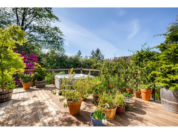 a view of a garden with flowers