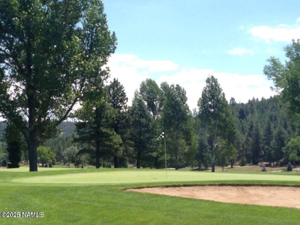 17810 Walapai Road, Unit 72 Munds Park, AZ 86017 - Photo 19 of 30 golf green