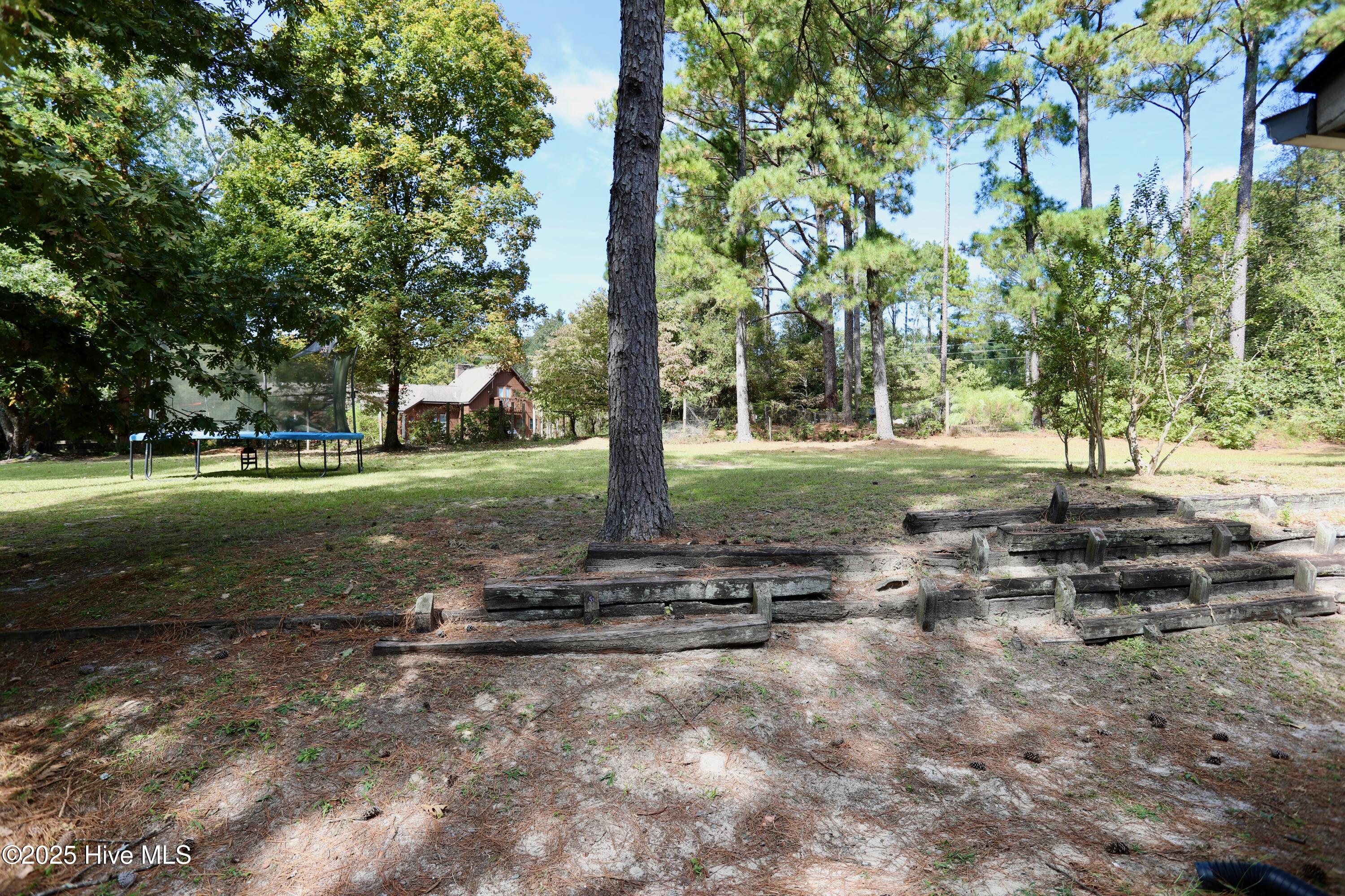 235 Tucker Road Whispering Pines, NC 28327 - Photo 46 of 54 Backyard Area
