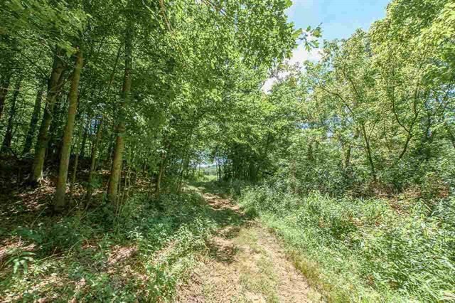 13295 East Carter Road Bloomfield, IN 47424 - Photo 35 of 36