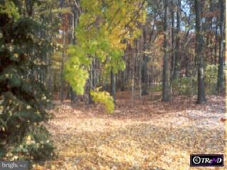 302 Millstone Road Clarksburg, NJ 08510 - Photo 5 of 5 Gallery Image 5