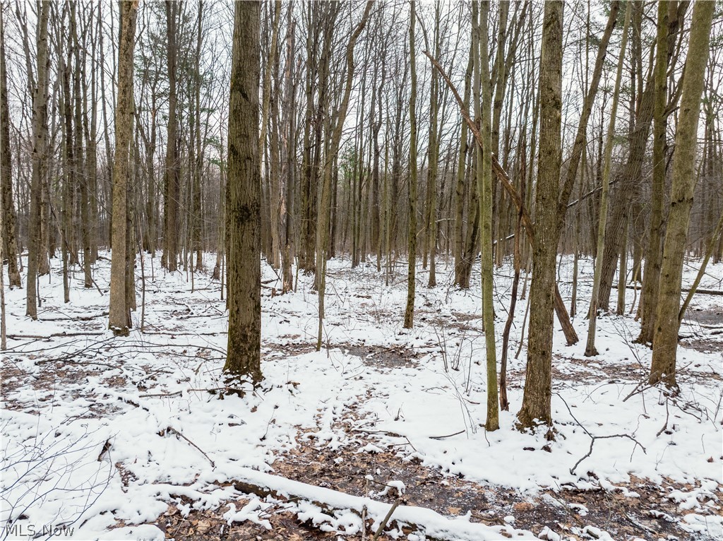 Slater Road Williamsfield, OH 44093 - Photo 9 of 14