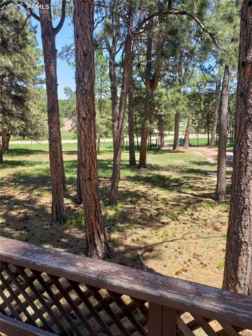 7925 Cyprus Road Colorado Springs, CO 80908 - Photo 3 of 15 Gallery Image 3