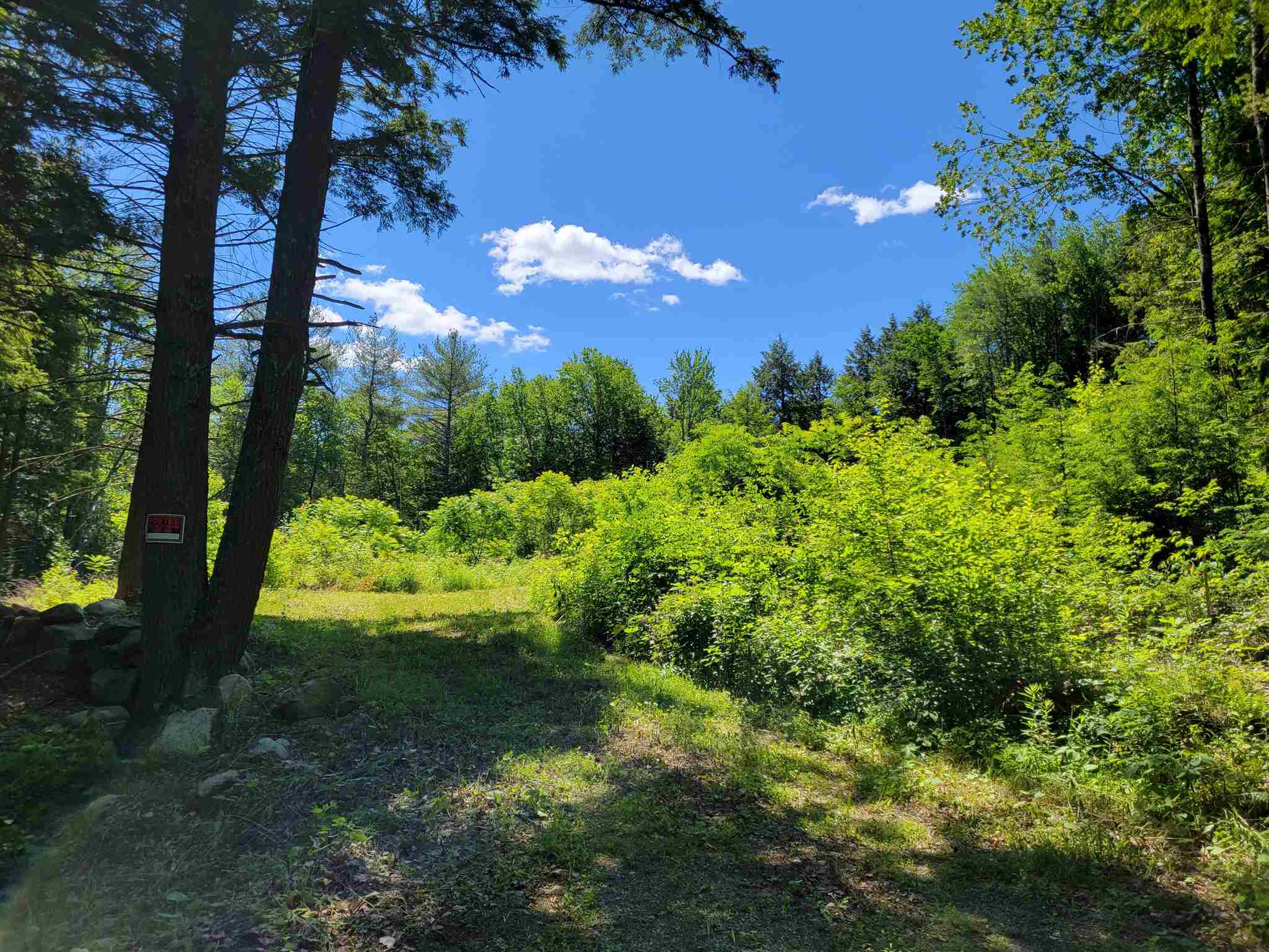723 Old Bow Road Weathersfield, VT 05156 - Photo 1 of 12