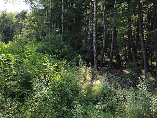 723 Old Bow Road Weathersfield, VT 05156 - Photo 11 of 12
