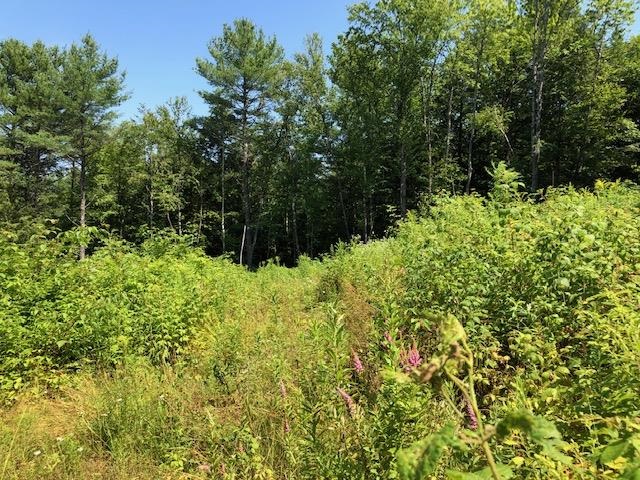 723 Old Bow Road Weathersfield, VT 05156 - Photo 3 of 12