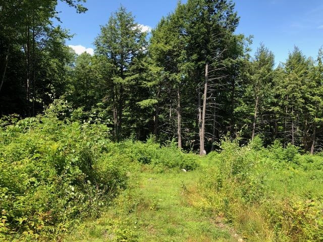 723 Old Bow Road Weathersfield, VT 05156 - Photo 4 of 12