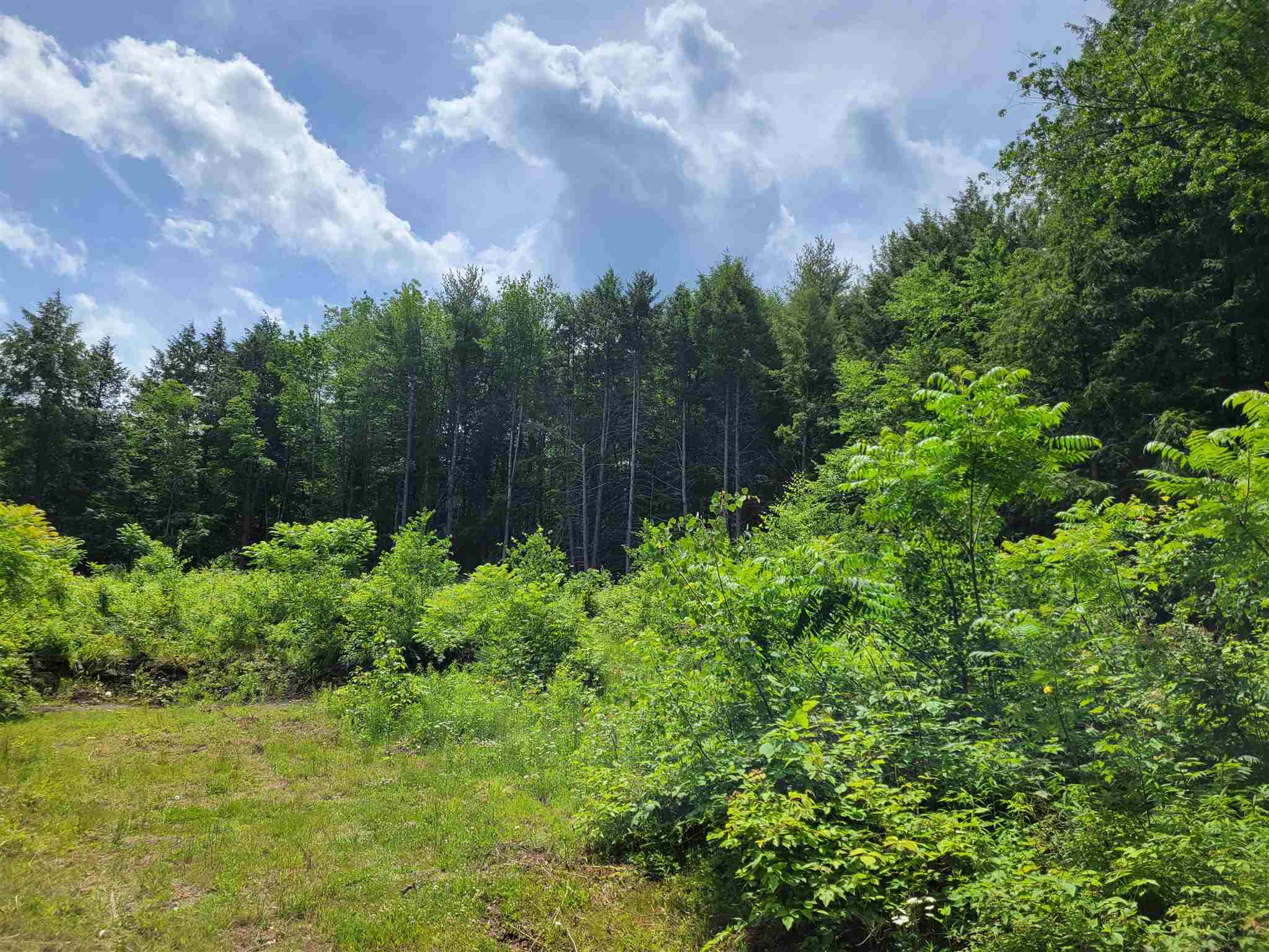 723 Old Bow Road Weathersfield, VT 05156 - Photo 5 of 12