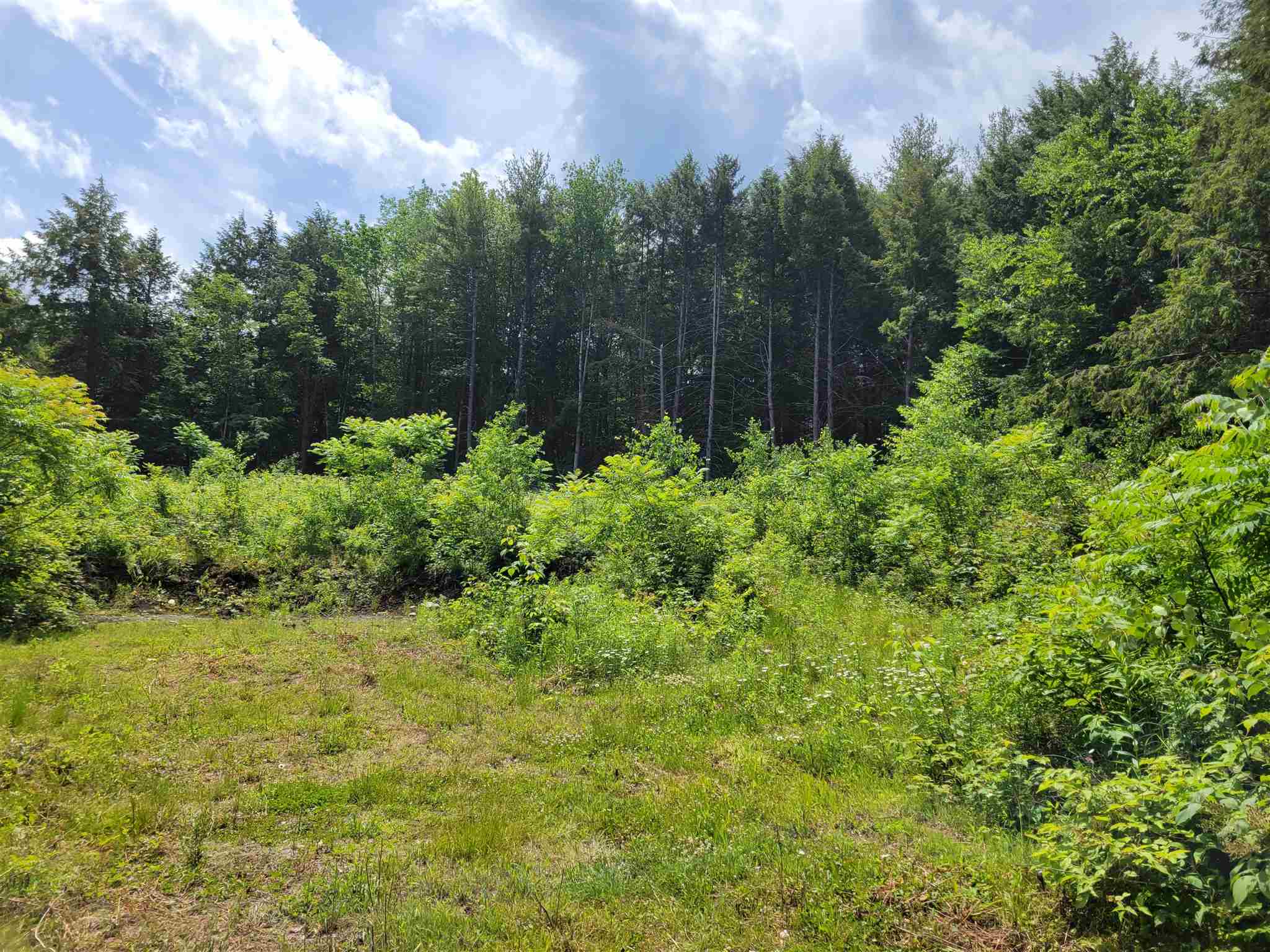 723 Old Bow Road Weathersfield, VT 05156 - Photo 6 of 12