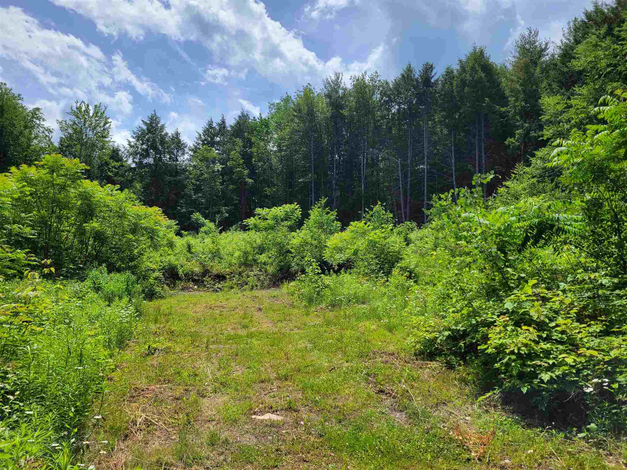 723 Old Bow Road Weathersfield, VT 05156 - Photo 7 of 12