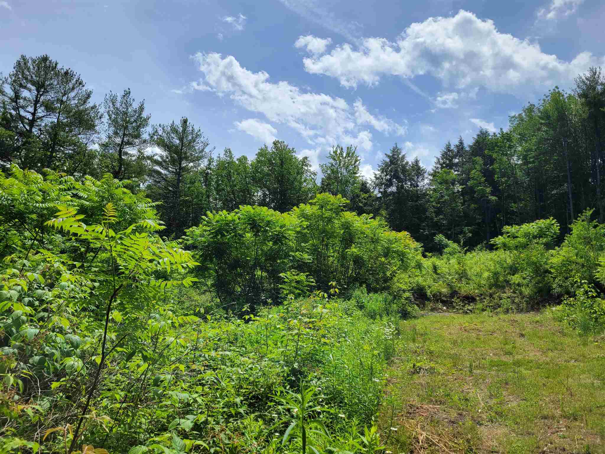 723 Old Bow Road Weathersfield, VT 05156 - Photo 8 of 12