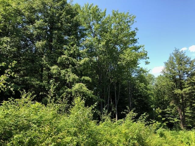 723 Old Bow Road Weathersfield, VT 05156 - Photo 9 of 12