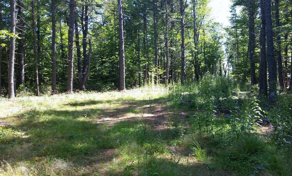 Lot 14 Fessenden Hill Road Denmark, ME 04022 - Photo 4 of 4 Photo