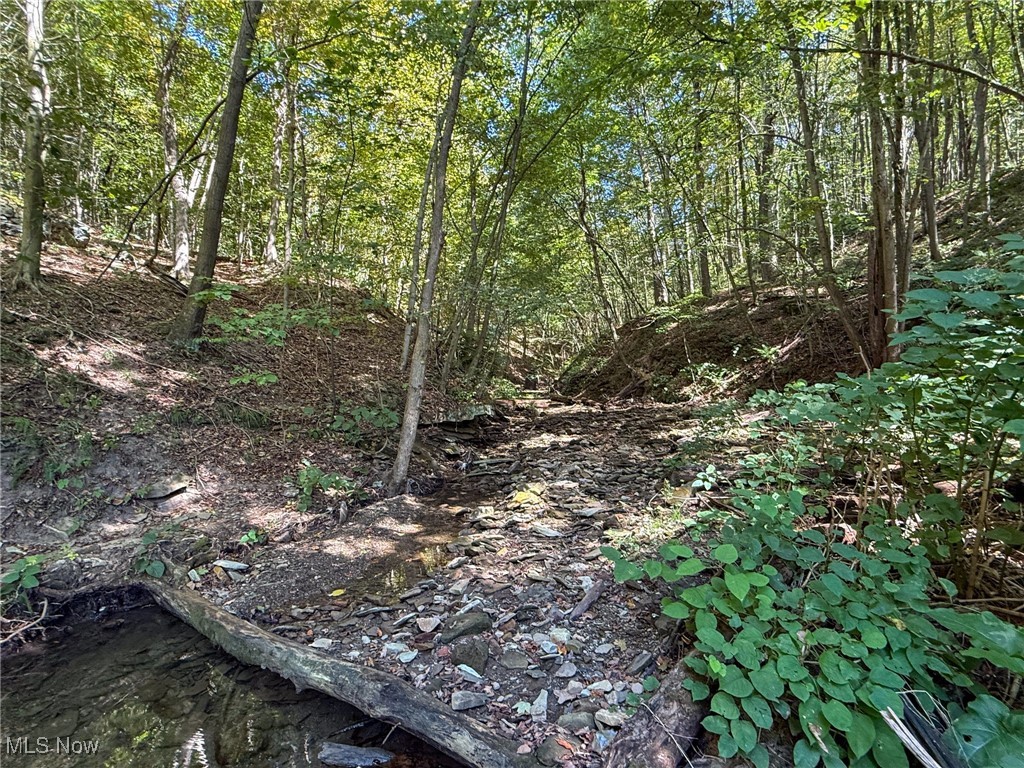 Kingsridge Road East Liverpool, OH 43920 - Photo 1 of 26 View of local wilderness