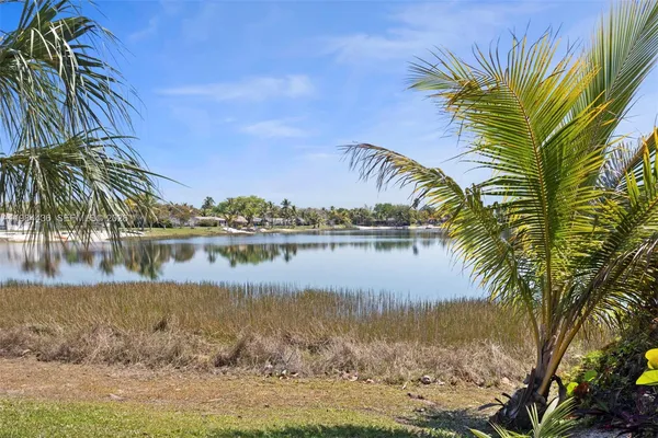 a view of a lake with palm trees