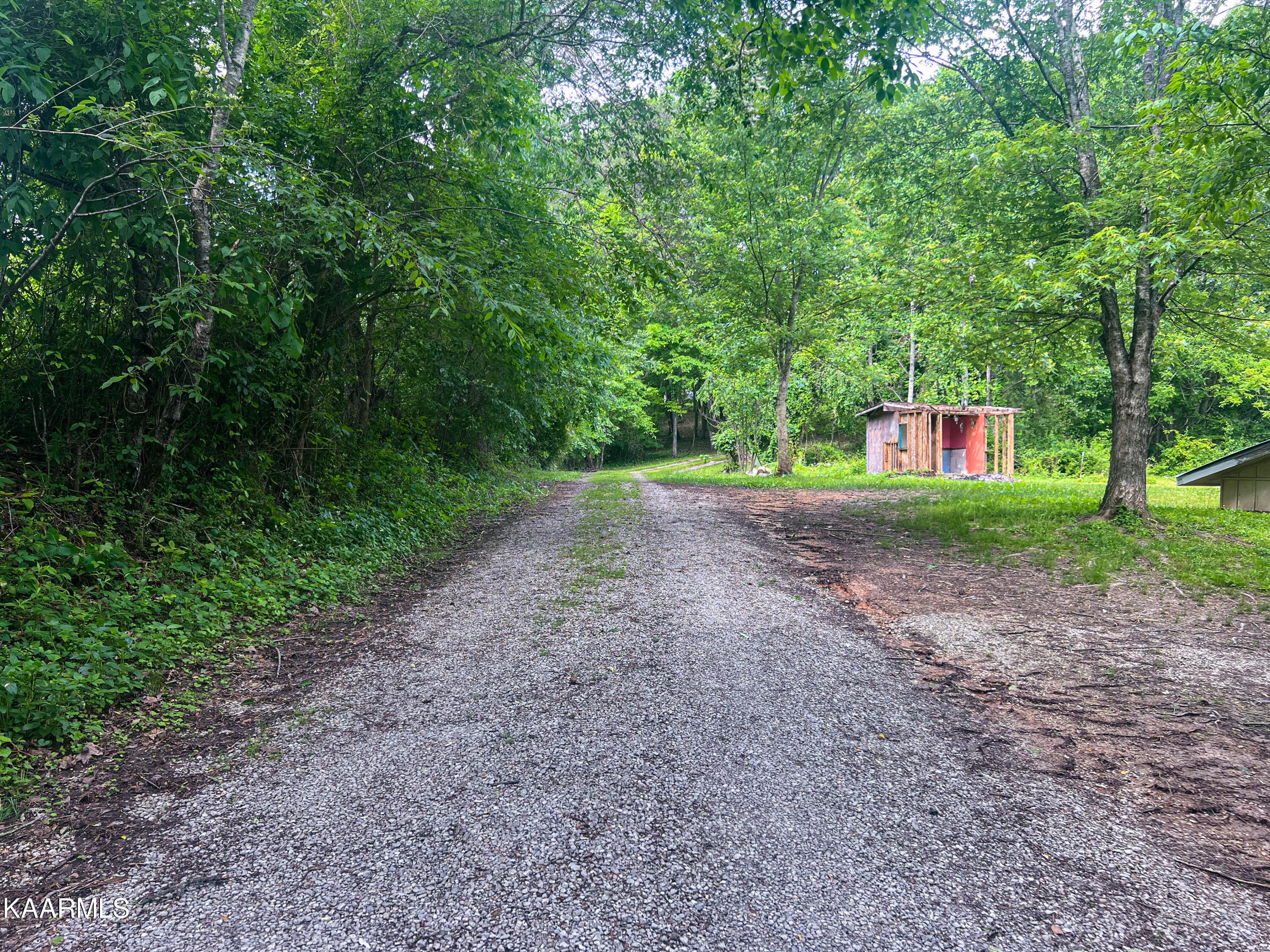 136 Log Lane Jacksboro, TN 37757 - Photo 6 of 13 IMG_6039