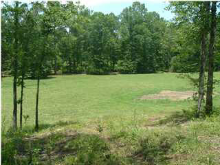 Meadow Lake, Unit 34 Calera, AL 35040 - Photo 1 of 1