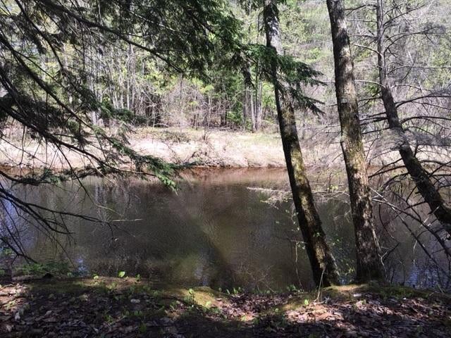 Nhn Metzke Road Alpena, MI 49707 - Photo 14 of 17 Gallery Image 14