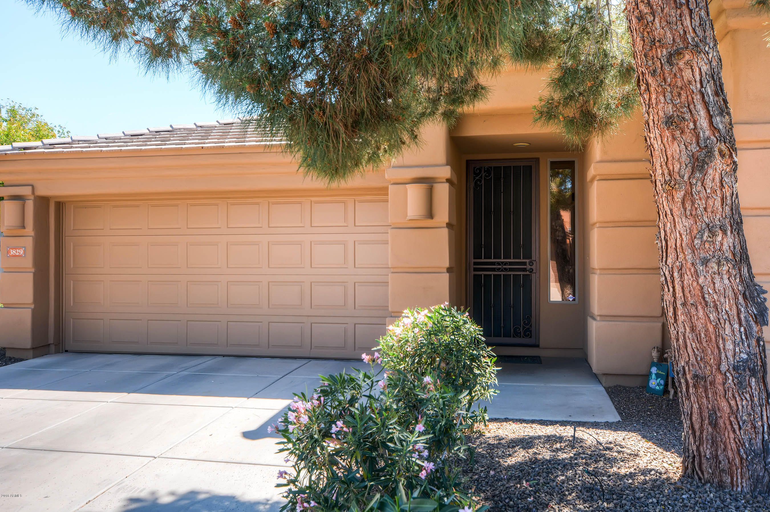 3829 East Carson Road Phoenix, AZ 85042 - Photo 3 of 28 a front view of a house with a yard
