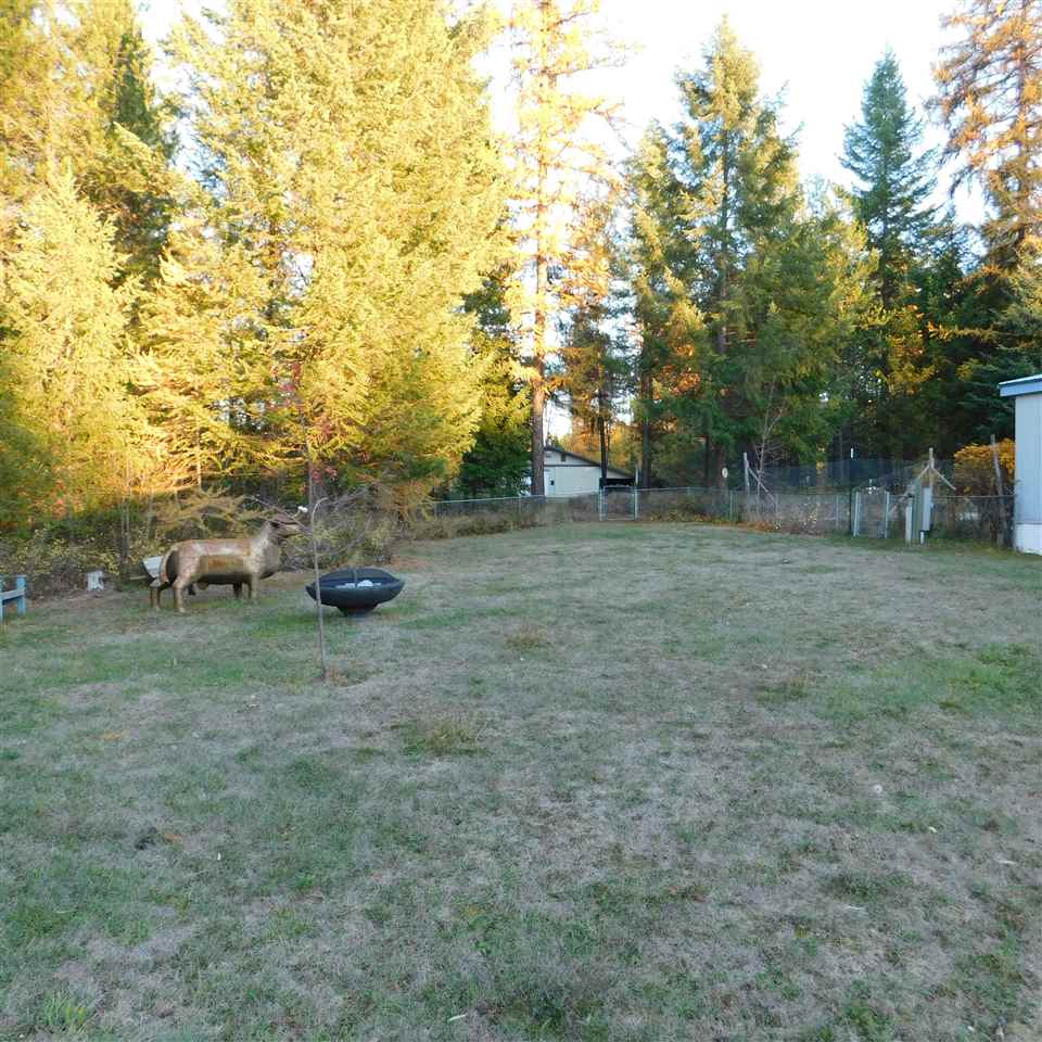 445 Rena Road Oldtown, ID 83822 - Photo 5 of 18