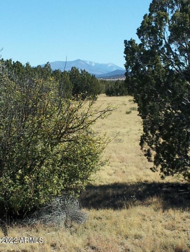 9287 Lariat Road, Unit 7 Williams, AZ 86046 - Photo 4 of 9 Resized_20131021_134621 (2)