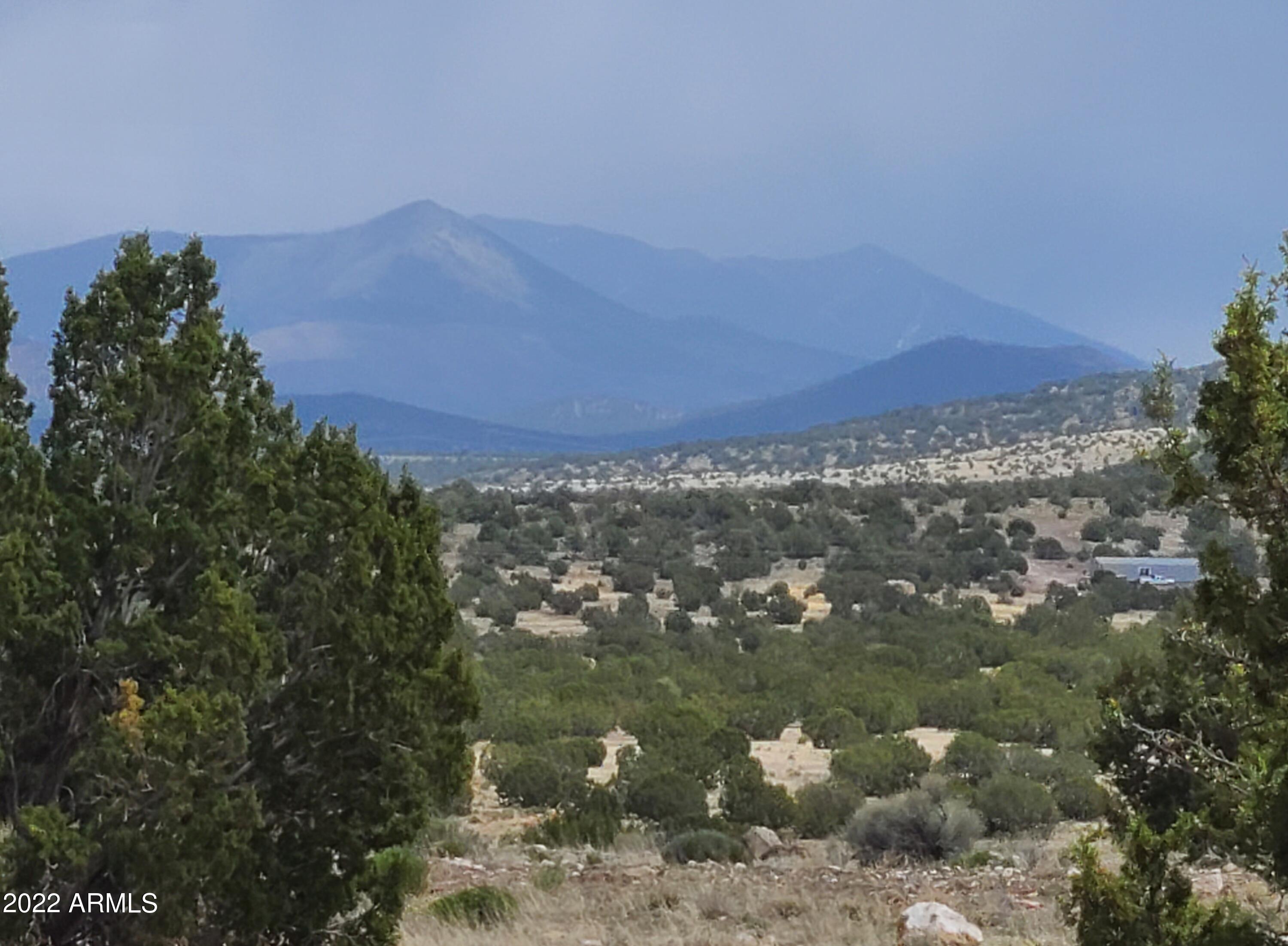 9287 Lariat Road, Unit 7 Williams, AZ 86046 - Photo 6 of 9 20220523_131332