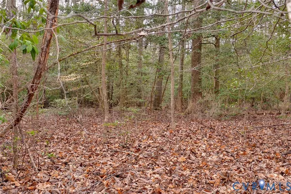 a view of small yard