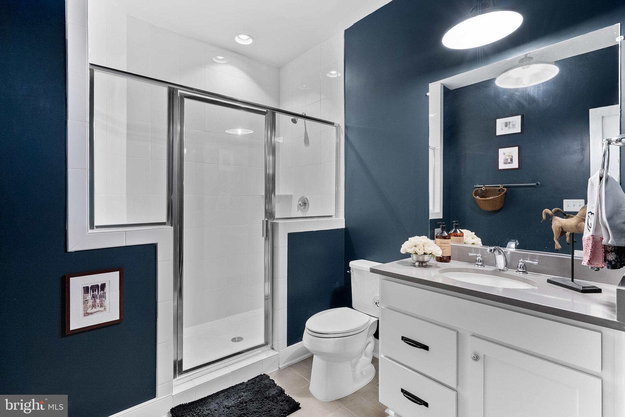 38147 Touchstone Farm Lane Hamilton, VA 20158 - Photo 30 of 71 a bathroom with a sink vanity mirror and toilet