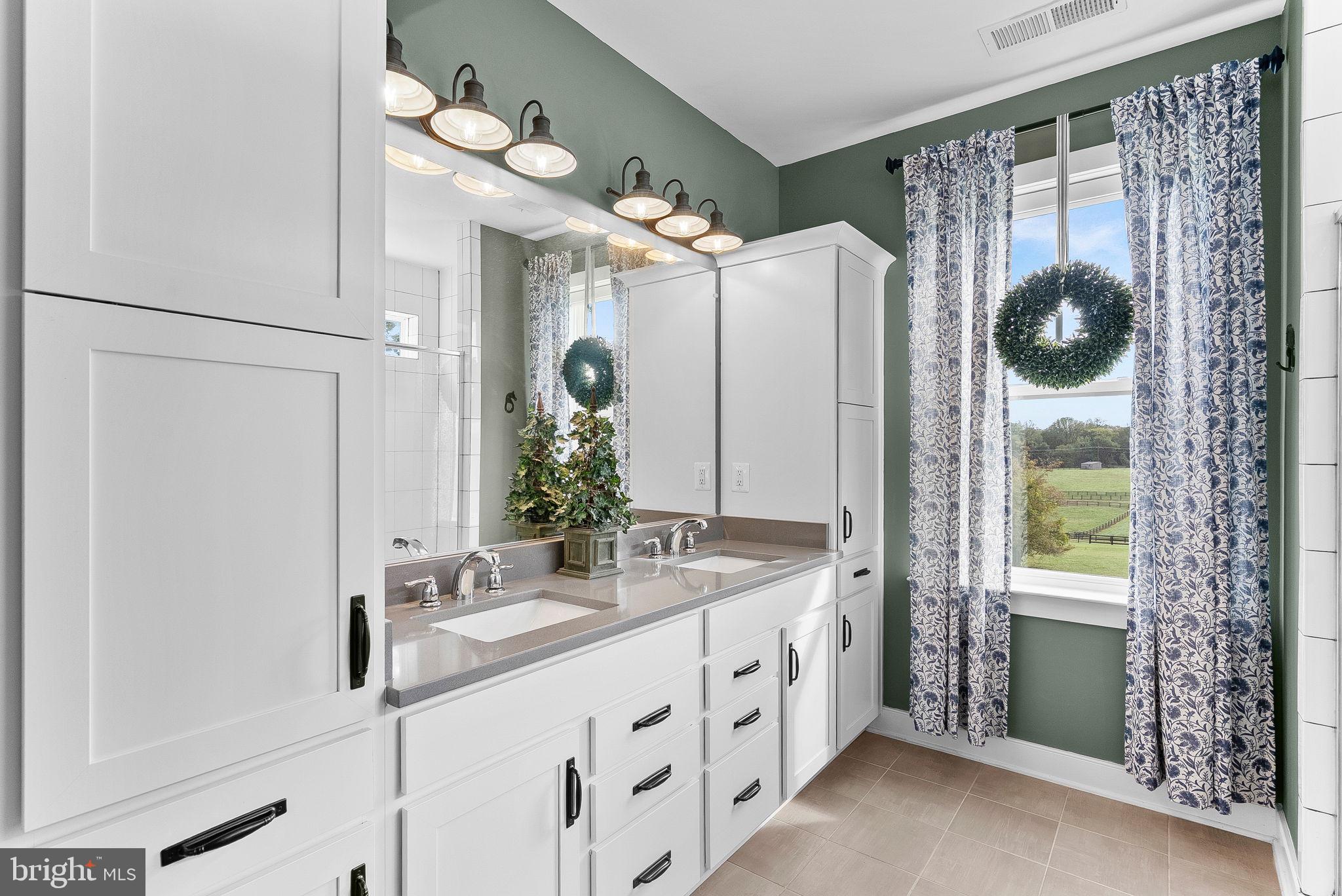38147 Touchstone Farm Lane Hamilton, VA 20158 - Photo 40 of 71 a bathroom with a double vanity sink mirror and shower