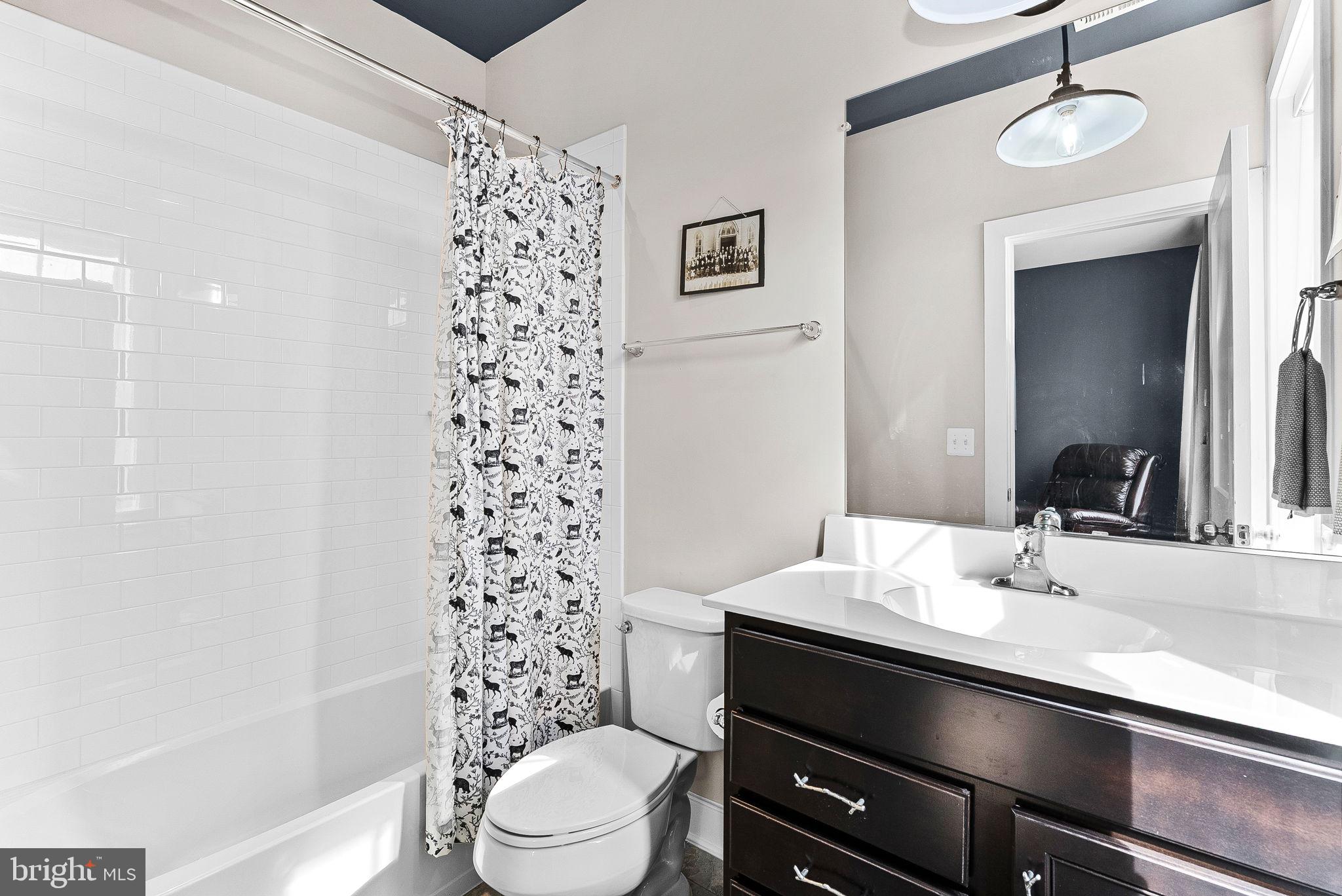 38147 Touchstone Farm Lane Hamilton, VA 20158 - Photo 45 of 71 a bathroom with a sink a toilet a shower and a mirror