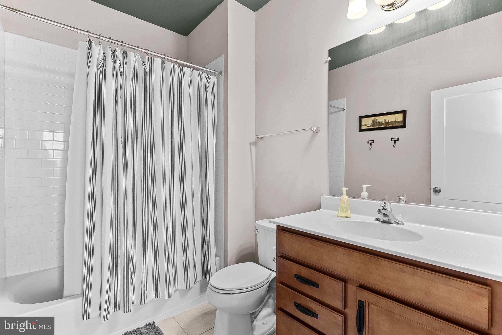 38147 Touchstone Farm Lane Hamilton, VA 20158 - Photo 55 of 71 a bathroom with a sink a toilet and shower curtain
