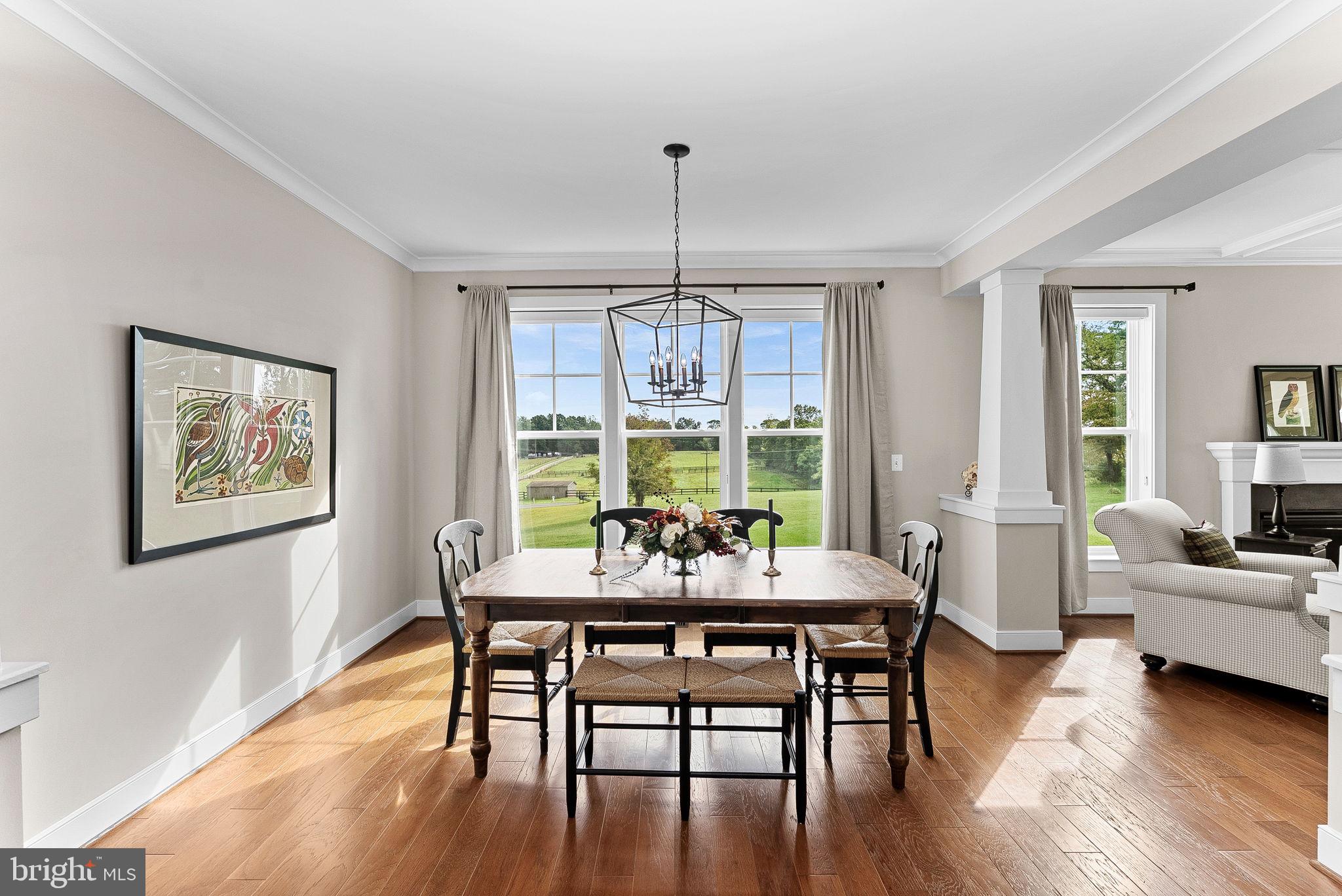 38147 Touchstone Farm Lane Hamilton, VA 20158 - Photo 9 of 71 a view of a dining room with furniture window and wooden floor
