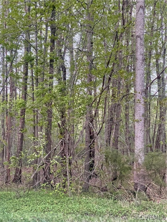 0 Union Hill Road Buckingham, VA 23921 - Photo 2 of 4