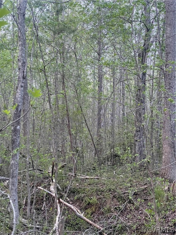0 Union Hill Road Buckingham, VA 23921 - Photo 3 of 4