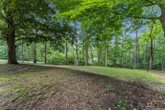 a view of a large yard with lots of green space