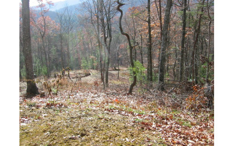 Lot 1 Awahili Rdg Road Murphy, NC 28906 - Photo 1 of 1 Main View
