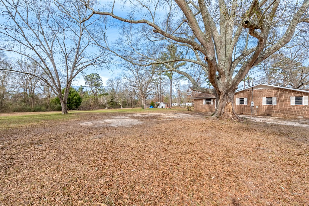 35273 Hesters Store Road Red Level, AL 36474 - Photo 7 of 28