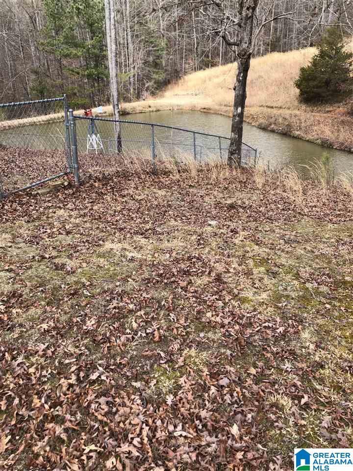 39 County Road 429 Fruithurst, AL 36262 - Photo 40 of 41
