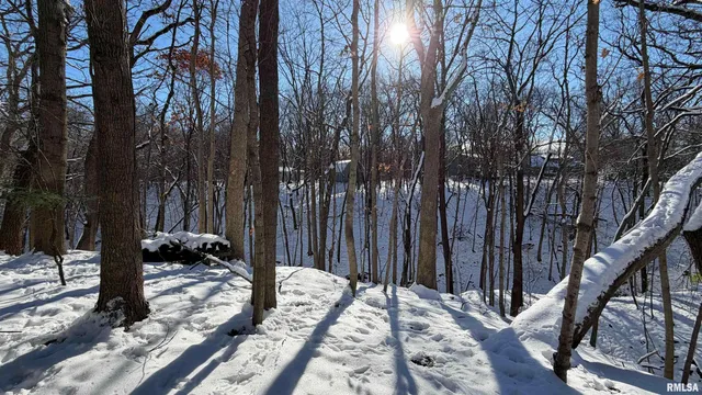 $339,500 | 1318 West Featherwood Drive, Dunlap, IL 61525