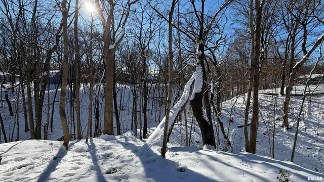 $339,500 | 1318 West Featherwood Drive, Dunlap, IL 61525