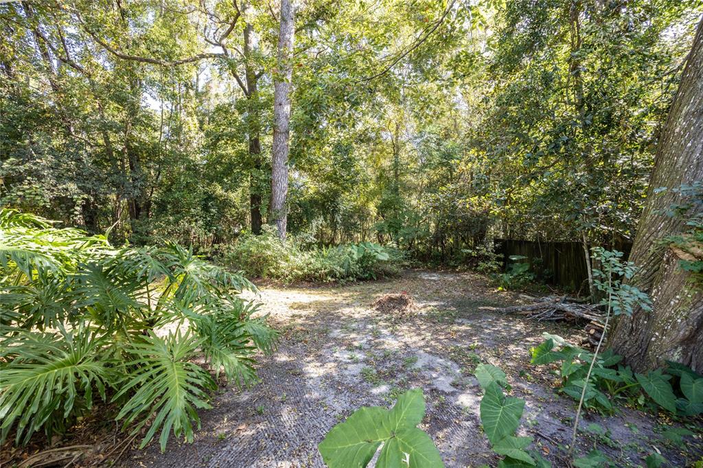 749 Northwest 34th Street Gainesville, FL 32607 - Photo 37 of 40
