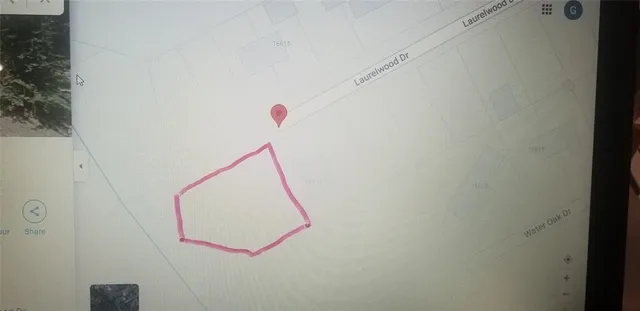 a view of a forest with trees