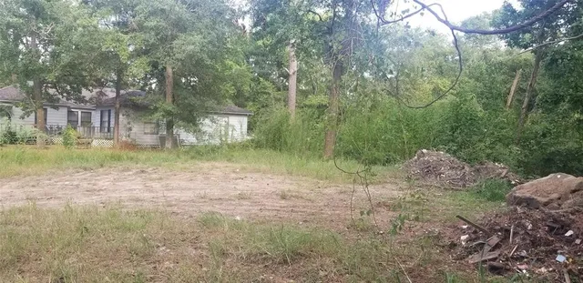a view of a forest with trees in the background